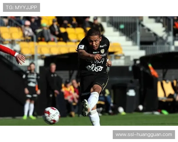 塞伊奈约基突围芬超冠军赛成黑马挑战者